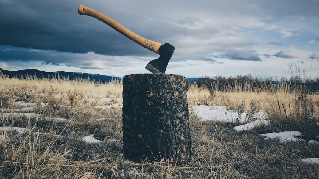 «Ты не сможешь меня убить»: пьяный россиянин на спор зарубил приятеля топором