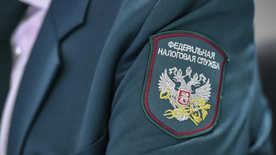 Налоговые проверки в 2024 году: что и как проверяют налоговики у представителей бизнеса