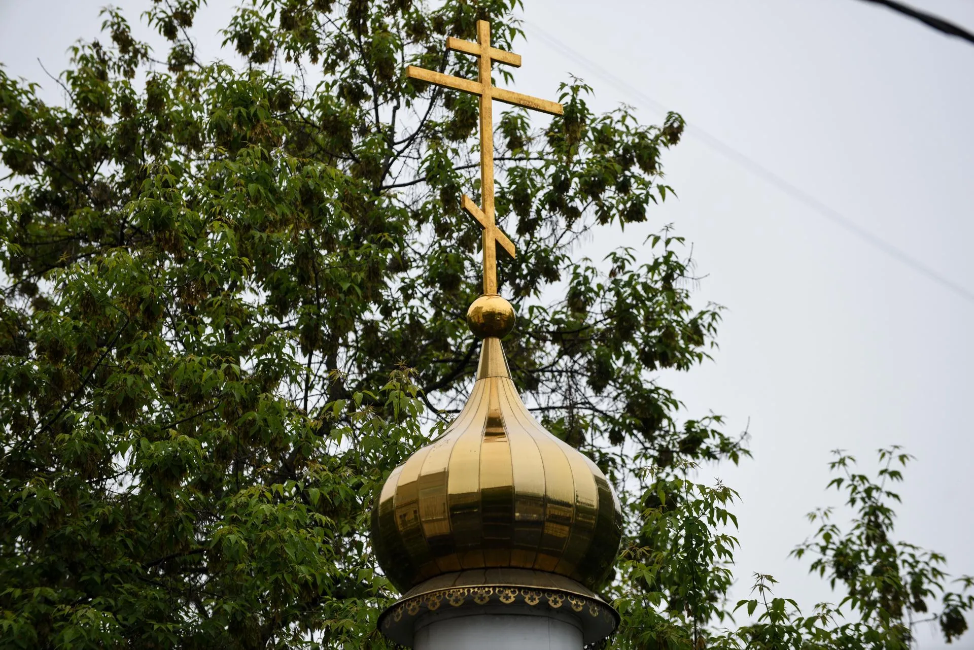 Николай Корешков