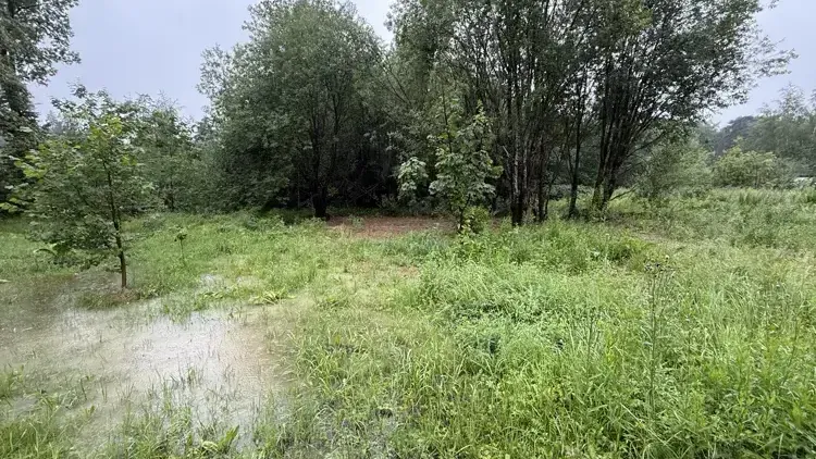 Земельный участок на торгах в Подмосковье