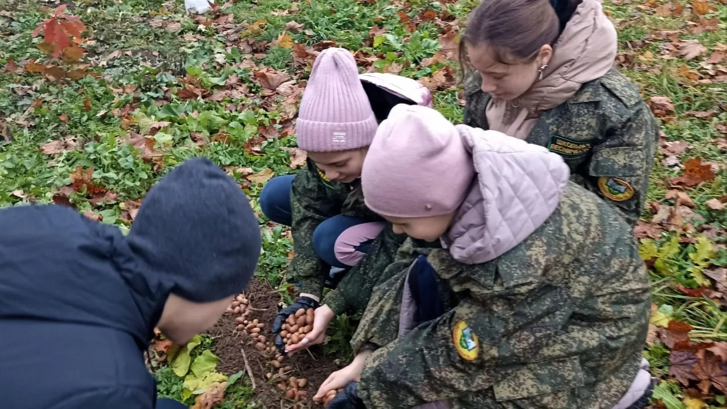 Юные лесоводы Подмосковья посеяли желуди дуба черешчатого и плоды каштана