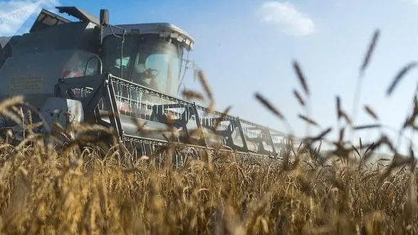 Подмосковье в этом году экспортировало сельхозпродукцию на 460 млн долларов