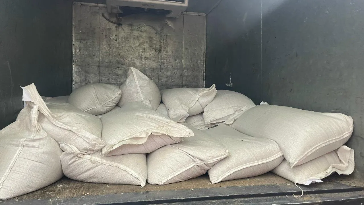 Жители за три дня собрали 1,7 тонны гречки для приюта Богородского округа