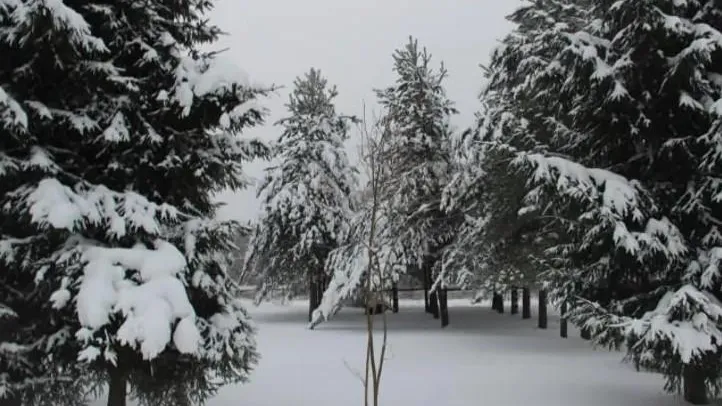 Ступино, Шаховская и Можайский лидируют по числу объектов на торгах в Подмосковье