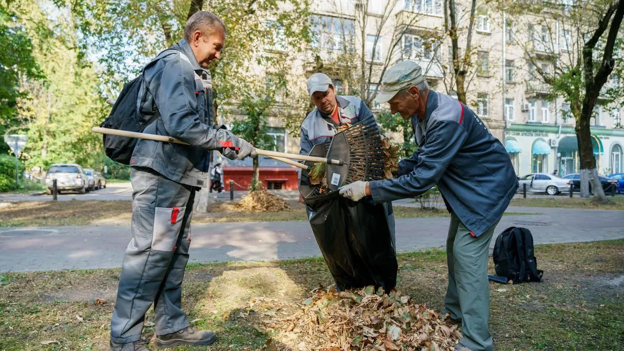 Коммунальные службы Подмосковья начали осеннюю уборку листвы