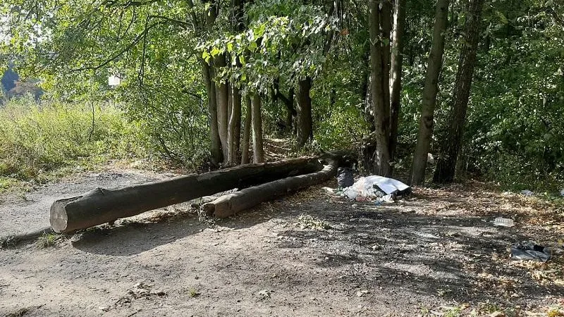 На территории памятника природы в округе Балашиха выявлены нарушения