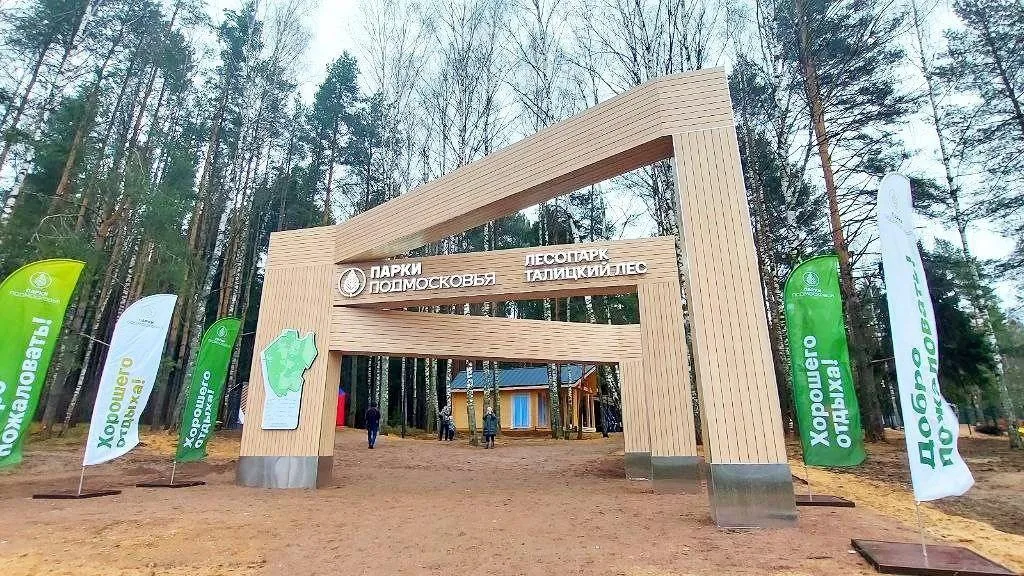 В Клину открыли лесопарк «Талицкий Лес»