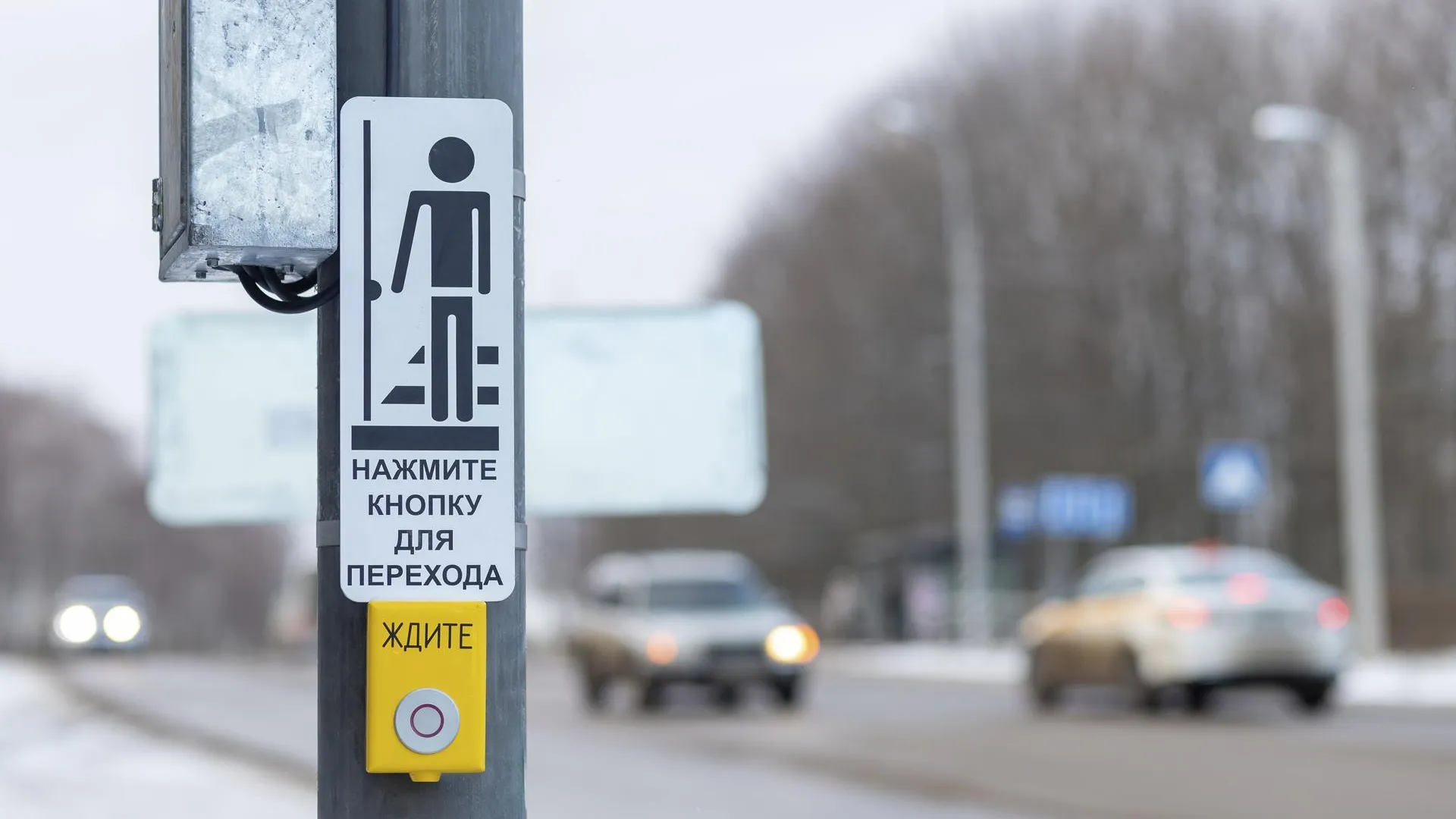 Четыре пешеходных светофора с вызывной кнопкой установили в Кашире