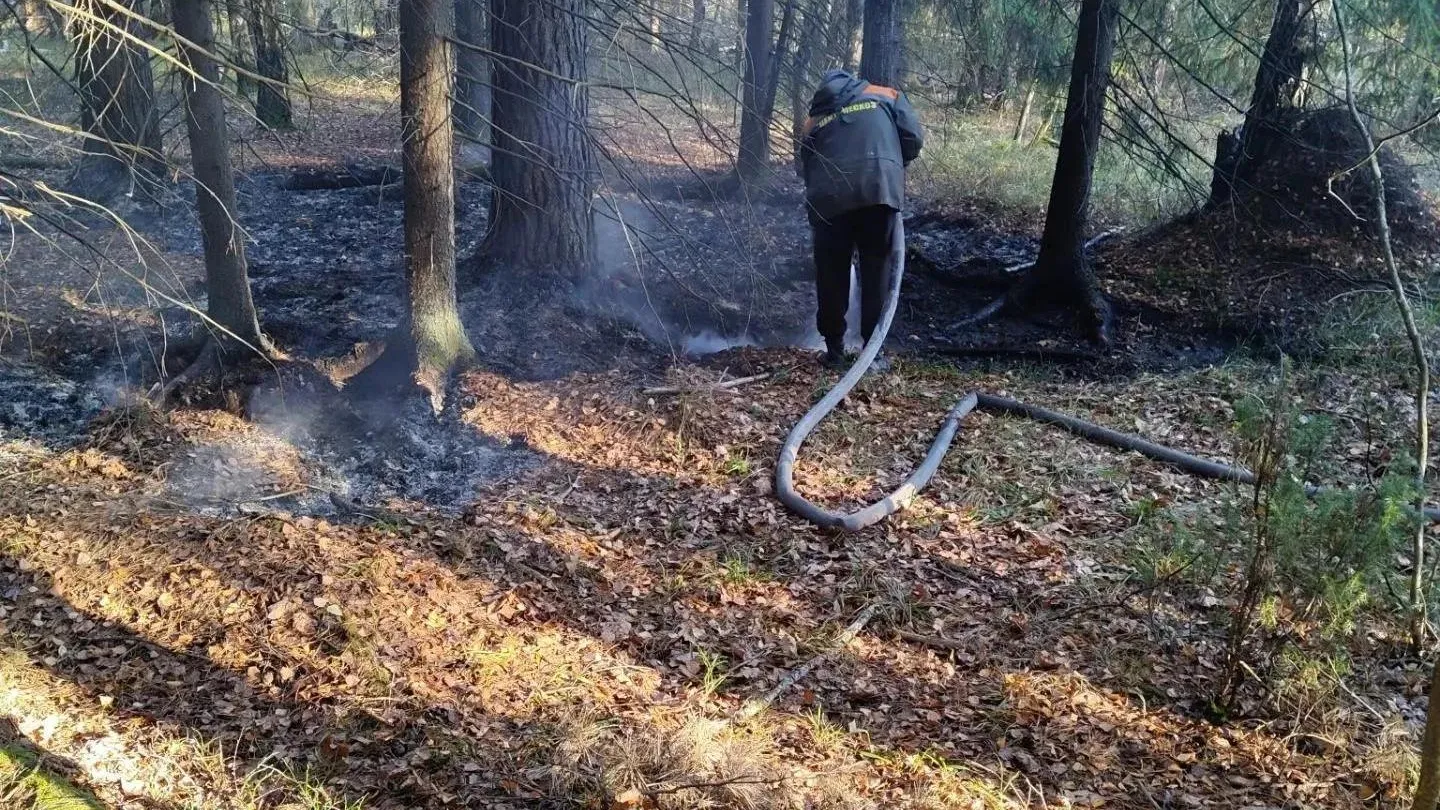 В Богородском округе потушили торфяной пожар
