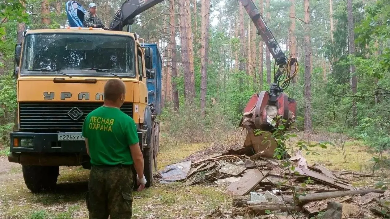 В Шатурском округе Подмосковья убрали четыре лесные свалки