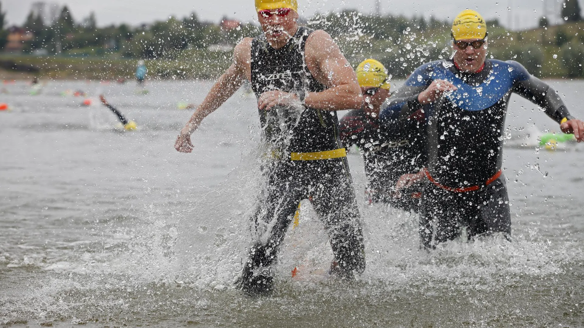 Более 1600 пловцов собрала в Подмосковье летняя серия Кубка чемпионов «Swimcup»