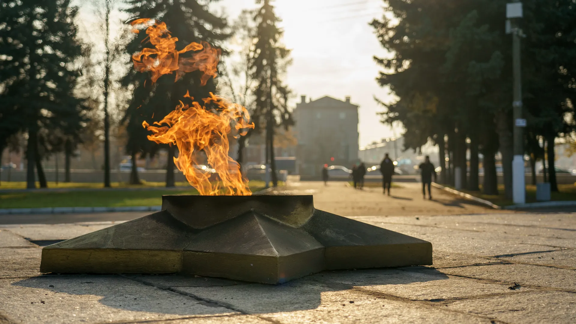 В Котельниках написали «Диктант Победы»
