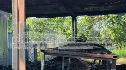 19 собак погибли при пожаре в приюте для животных в Тверской области