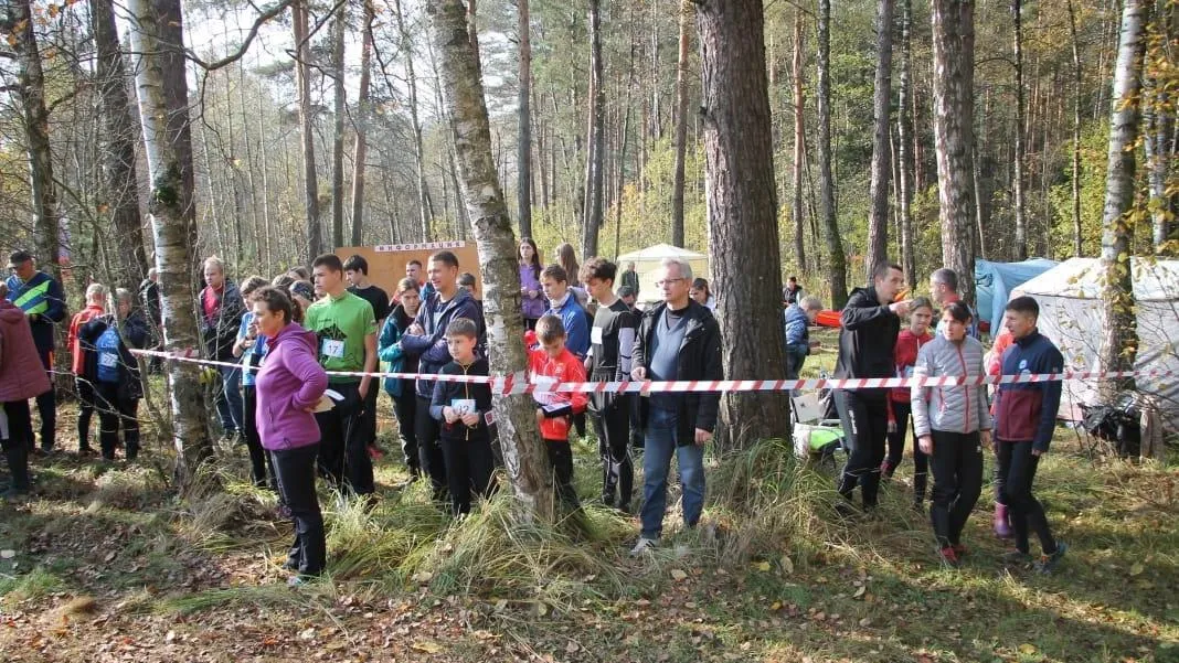 В Раменском прошли соревнования «Лесная карусель»