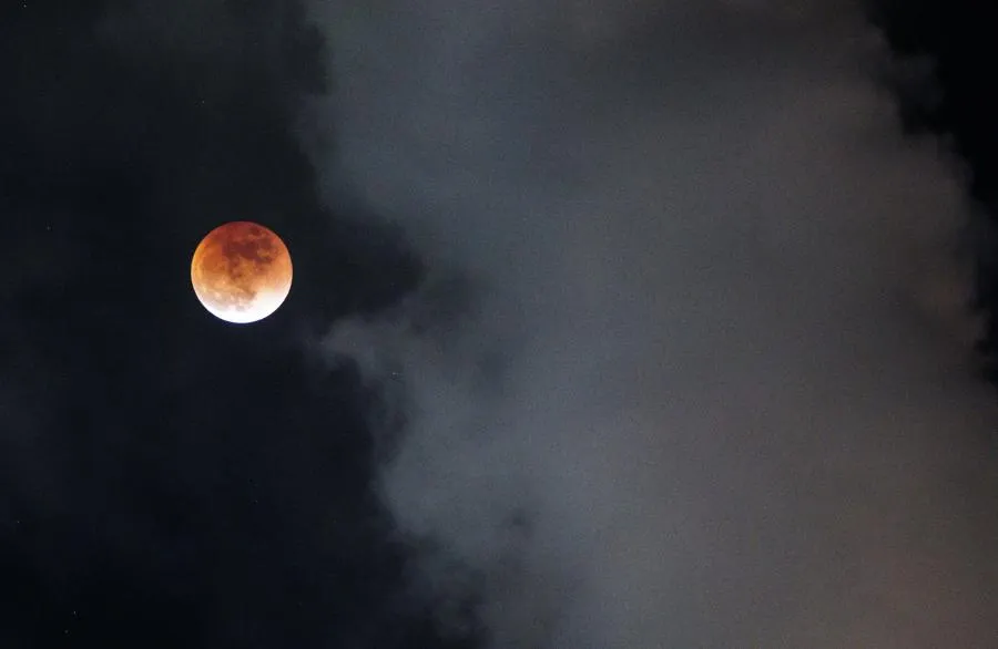 Александр Кряжев