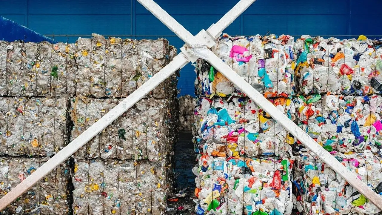 Жители Подмосковья увеличили сдачу вторсырья на переработку в новогодние каникулы