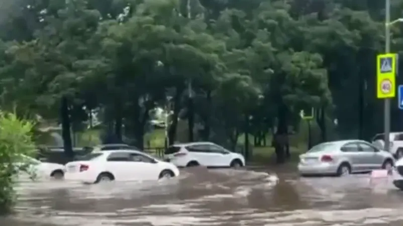 Видео: мощный ливень в Хабаровске топит улицы и сносит рекламные щиты