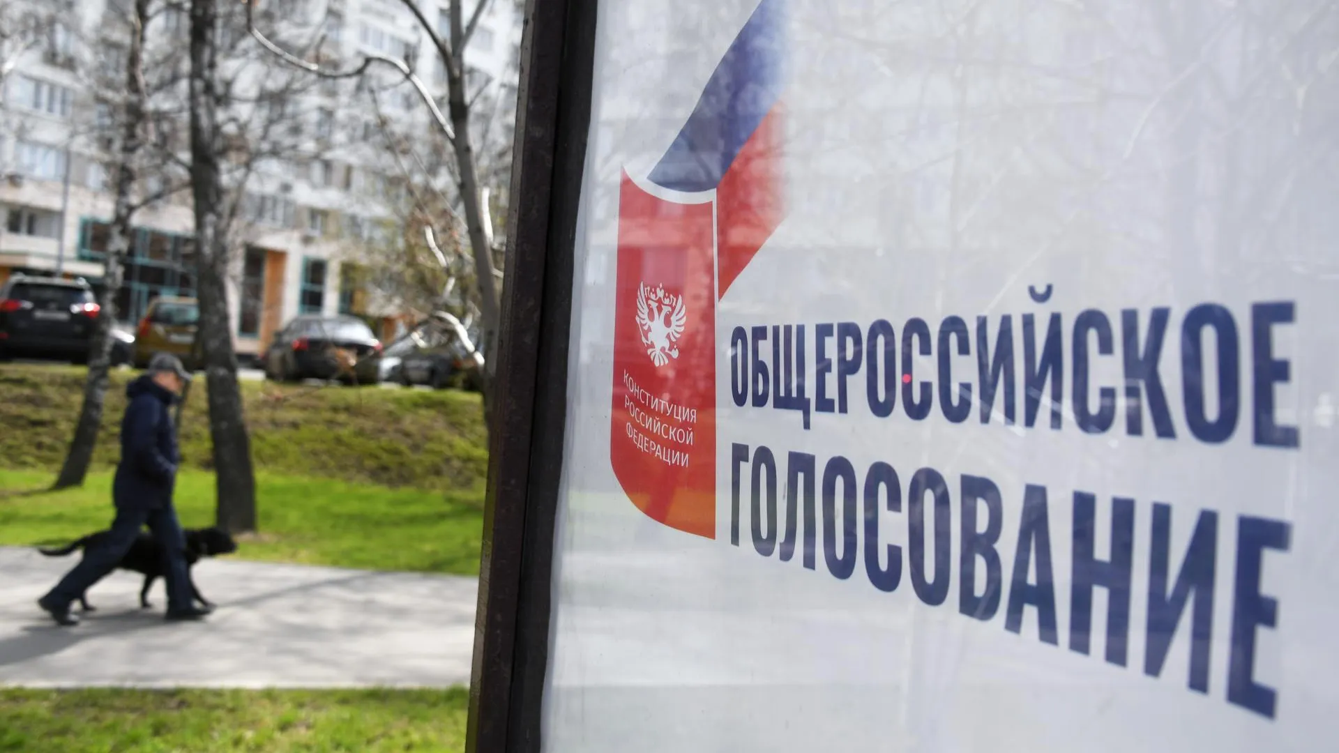 Пункты голосования по поправкам в Конституцию будут работать во дворах домов в Подмосковье