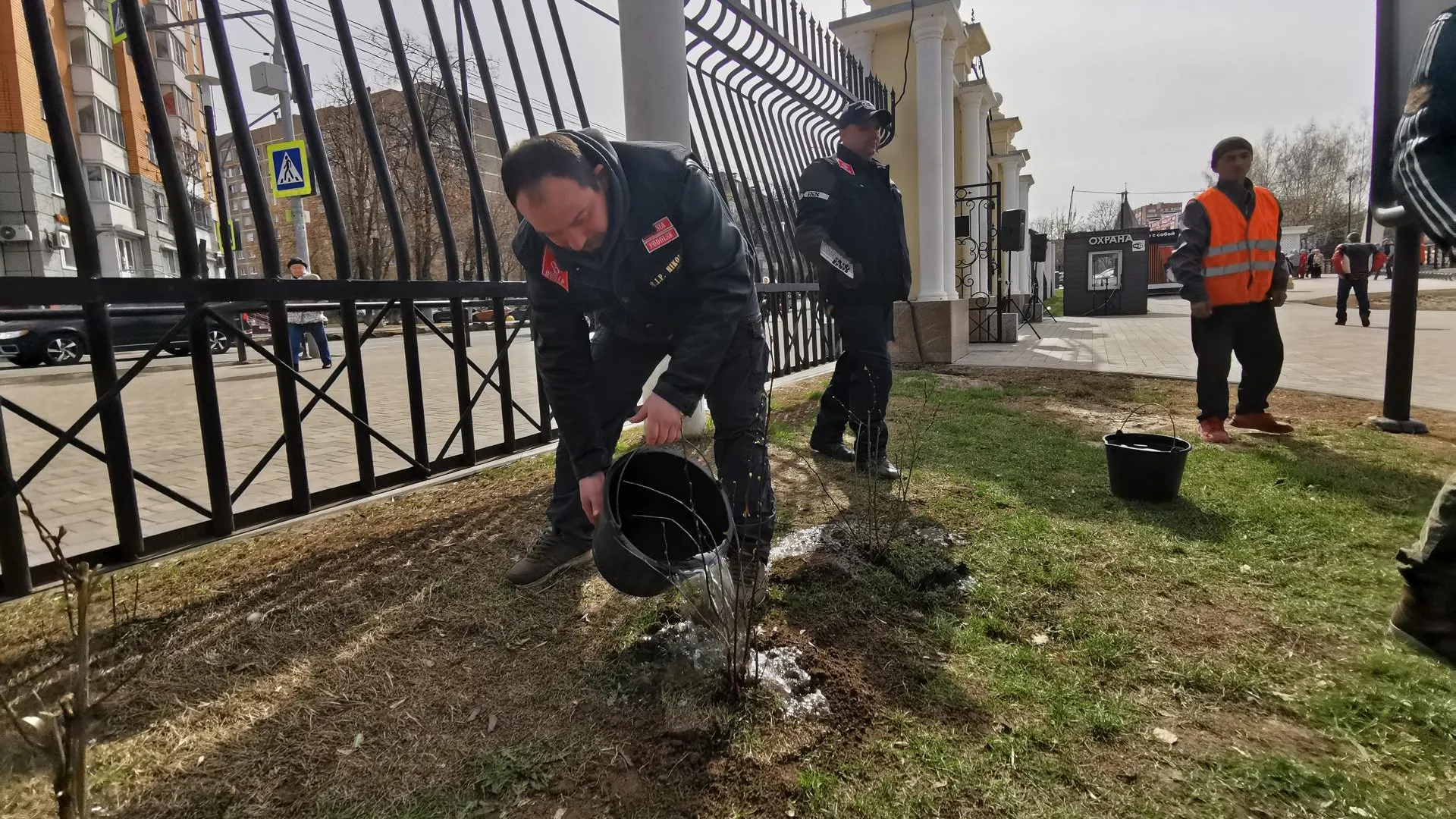 В парке Талалихина Подольска на субботнике посадили растения