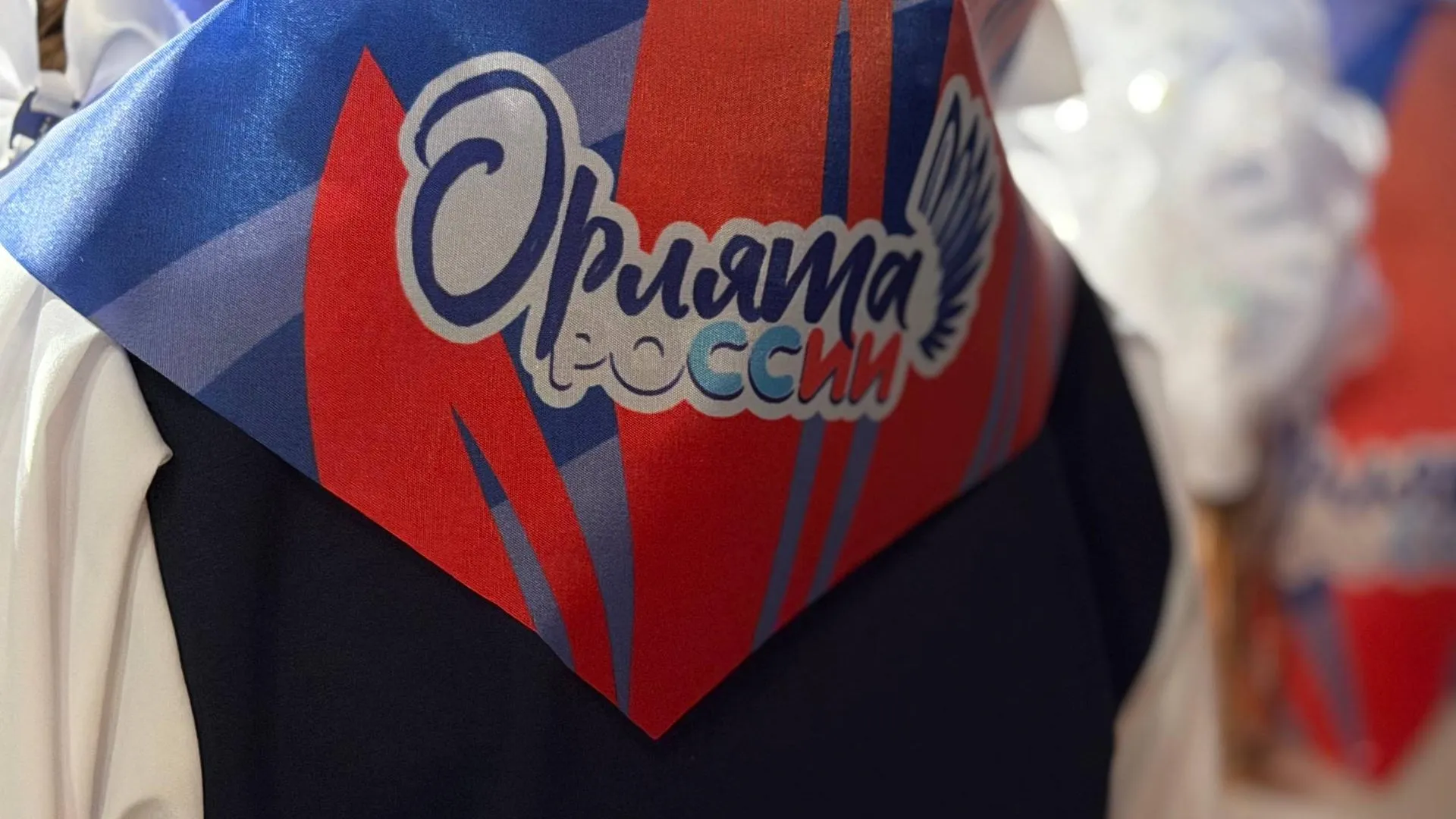 В Можайске школьников посвятили в движение «Орлята России»