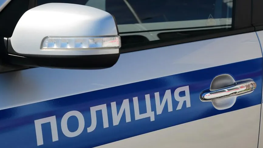 Нижегородская полиция ищет местную женщину, избивающую мужчин