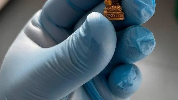Врачи центра Рошаля извлекли из желудка мальчика металлическую фигурку