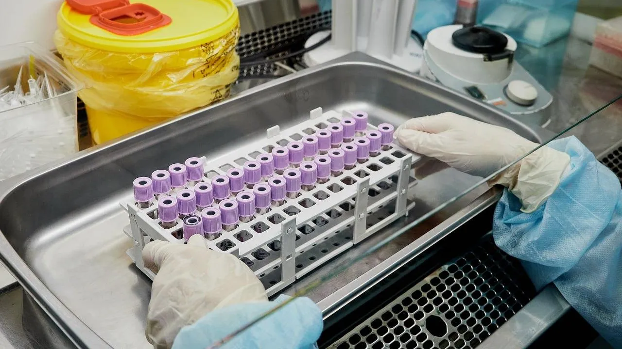 Почти 210 тыс жителей Подмосковья прошли тест на ВИЧ в 2026 году
