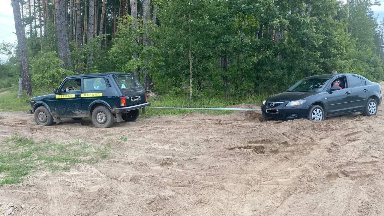 Лесничие Подмосковья помогли вытащить автомобиль из песчаной ловушки на дороге