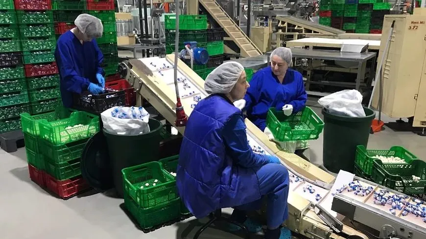 Кондитерская фабрика Подольска запустит новую производственную линию