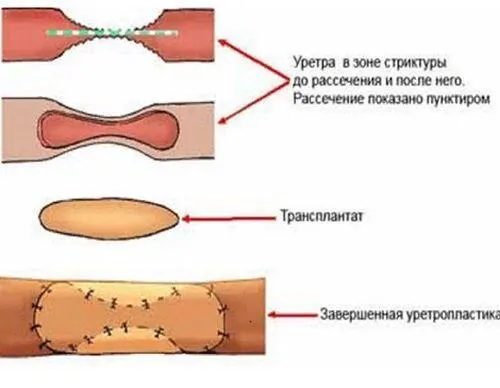 Пресс-служба Химкинской областной больницы
