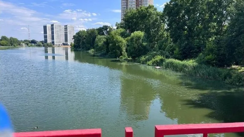 В Подмосковье ведется постоянный мониторинг состояния водных объектов