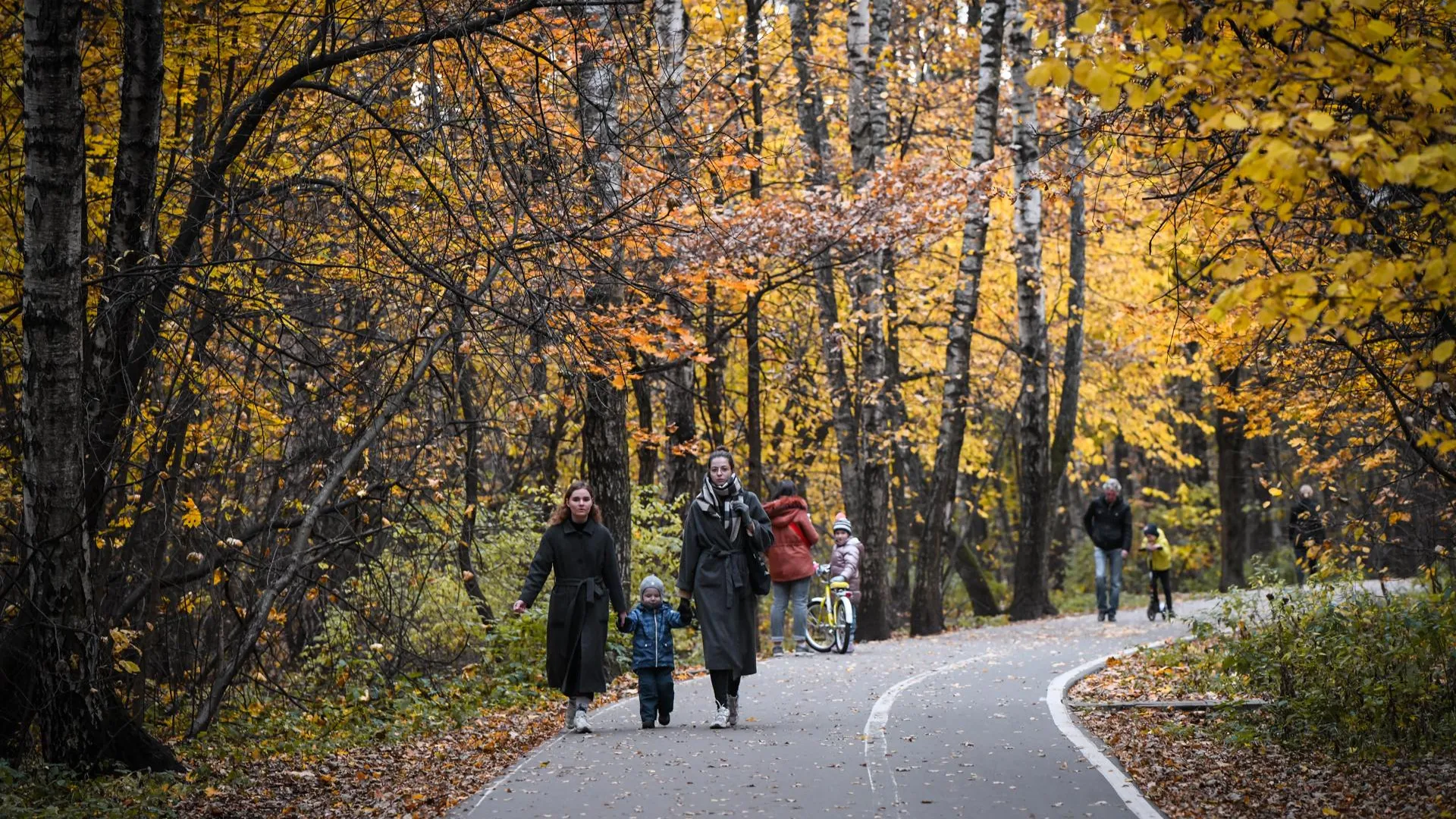 Меры поддержки семьи расширили в Подмосковье