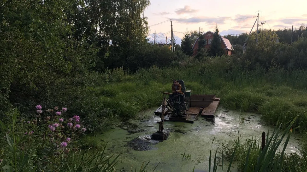 Пруд в деревне Сабурово Щелкова начнут очищать в июне