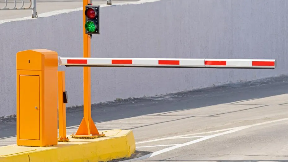 В Москве могут появиться целые районы, за въезд в которые придется платить