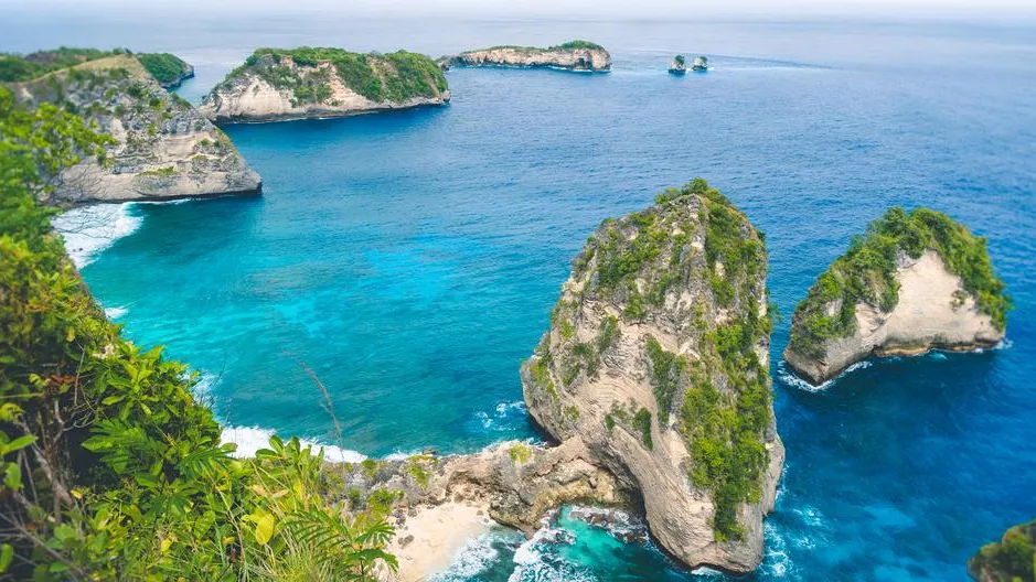 Подумал, что заболел: турист из РФ пропустил укус ядовитой змеи и умер на Бали