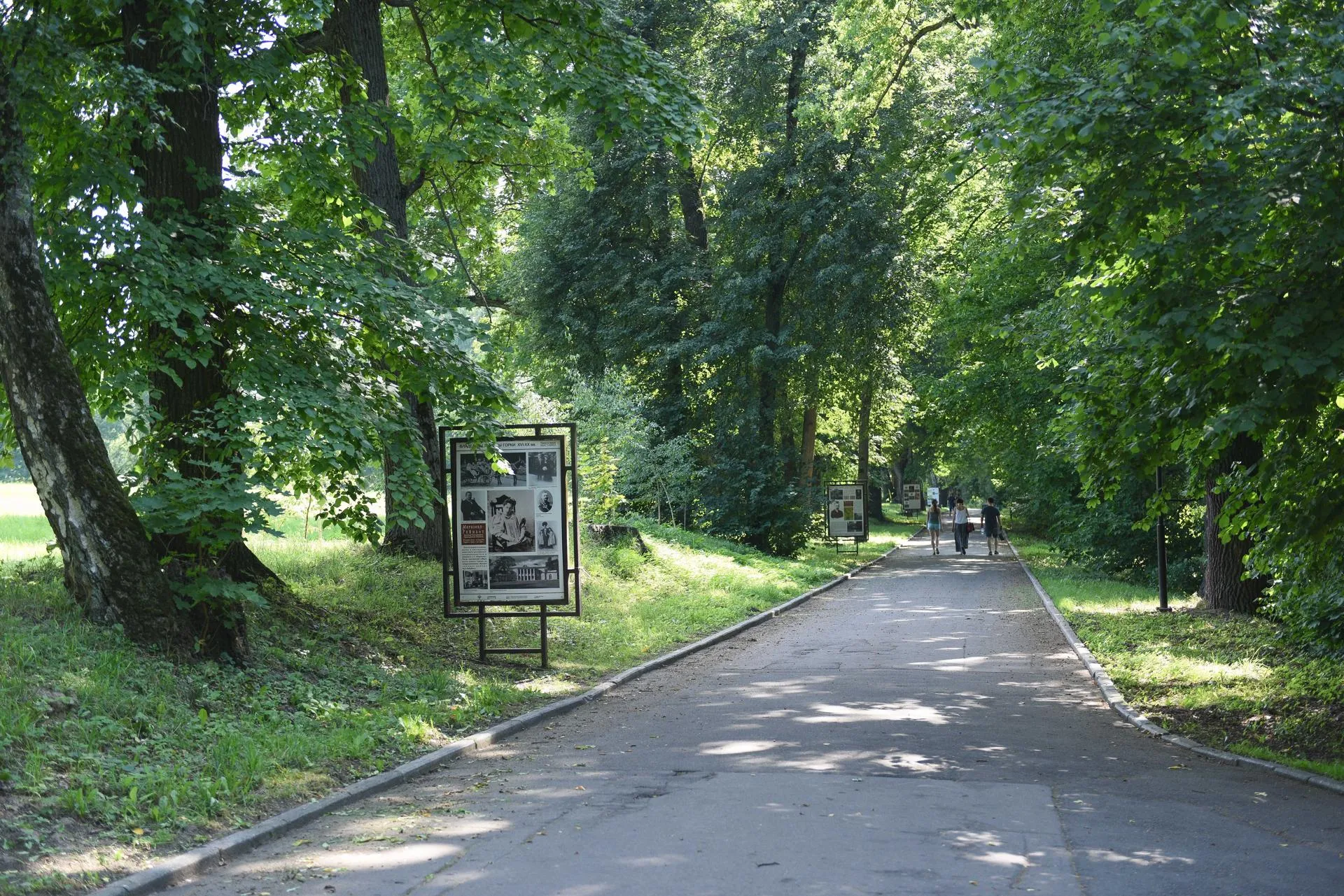 Александр Манзюк