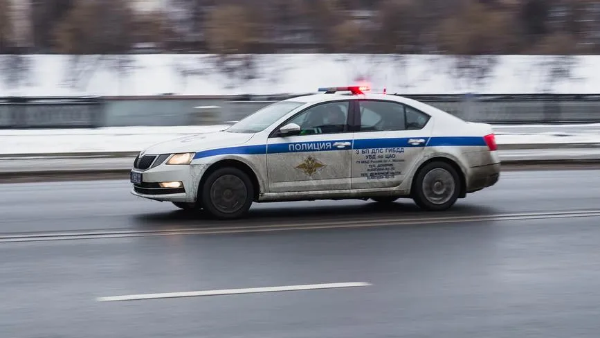 Такси против таксы: в Москве таксист расстрелял из травмата мужчину с собакой
