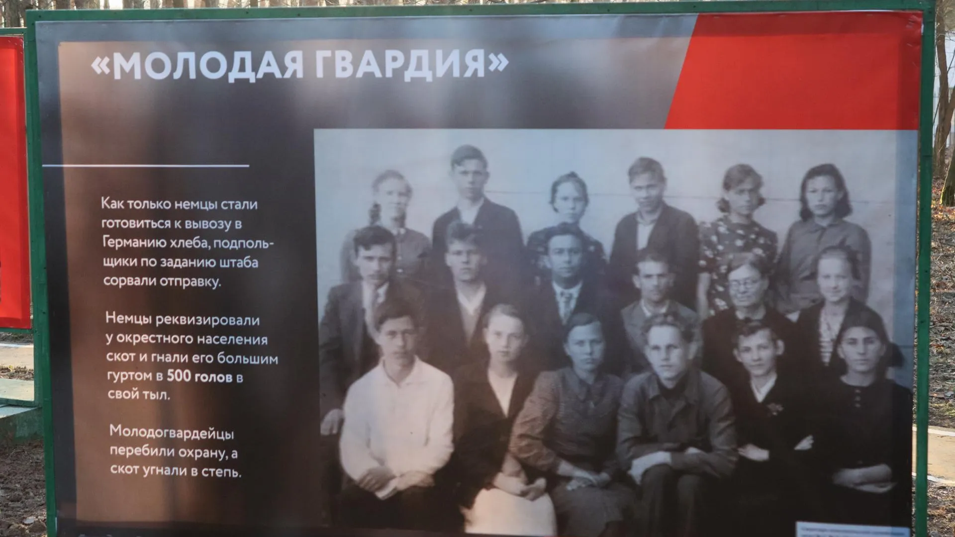 В Домодедове открылась выставка о подпольной организации времен ВОВ