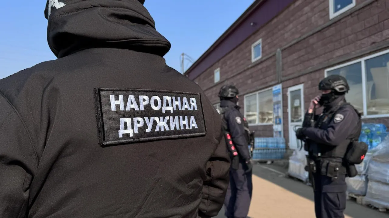 Жителям Подмосковья рассказали, как дружинники помогают правоохранительным органам