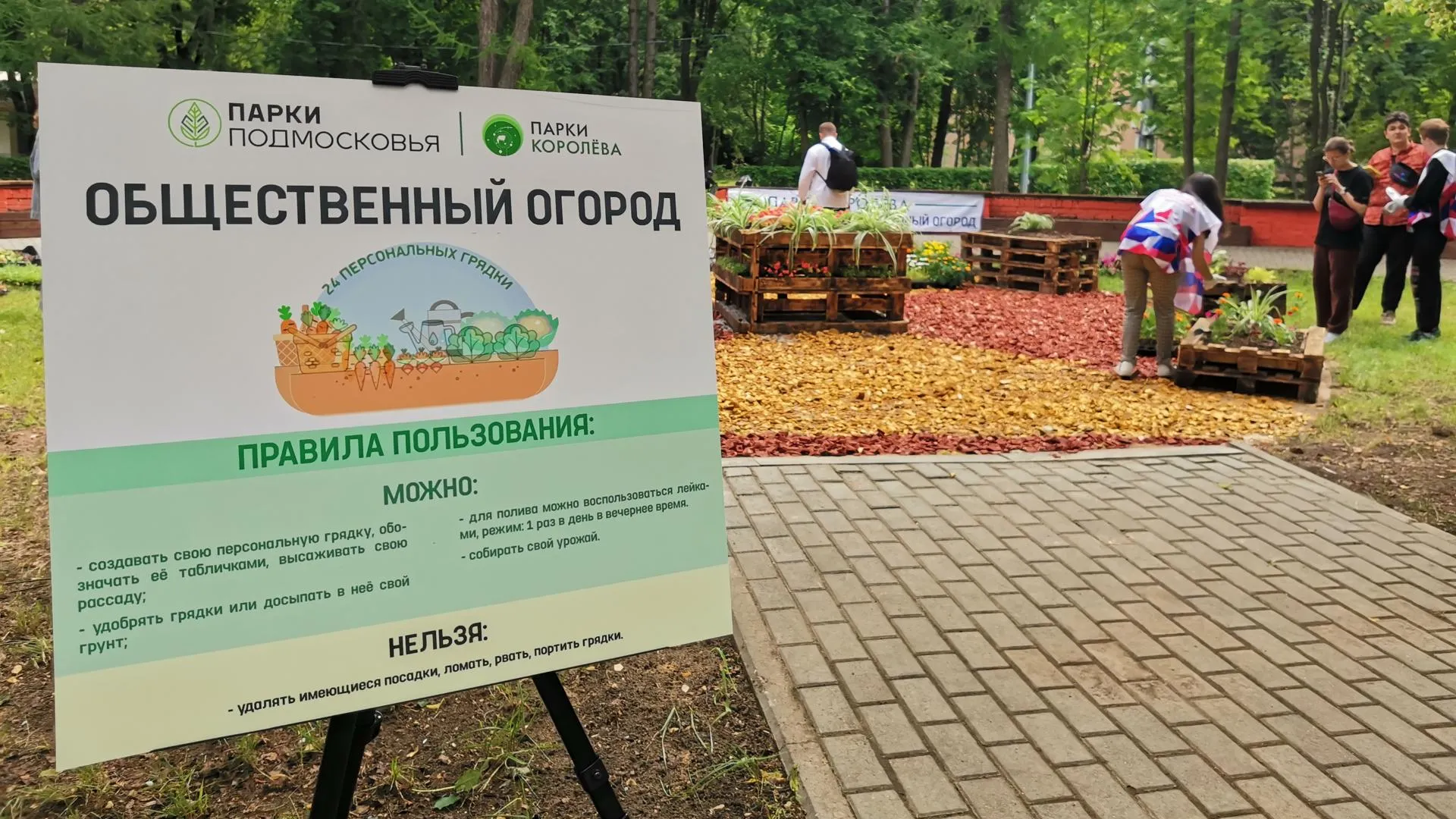В центральном парке Королева высадили общественный огород