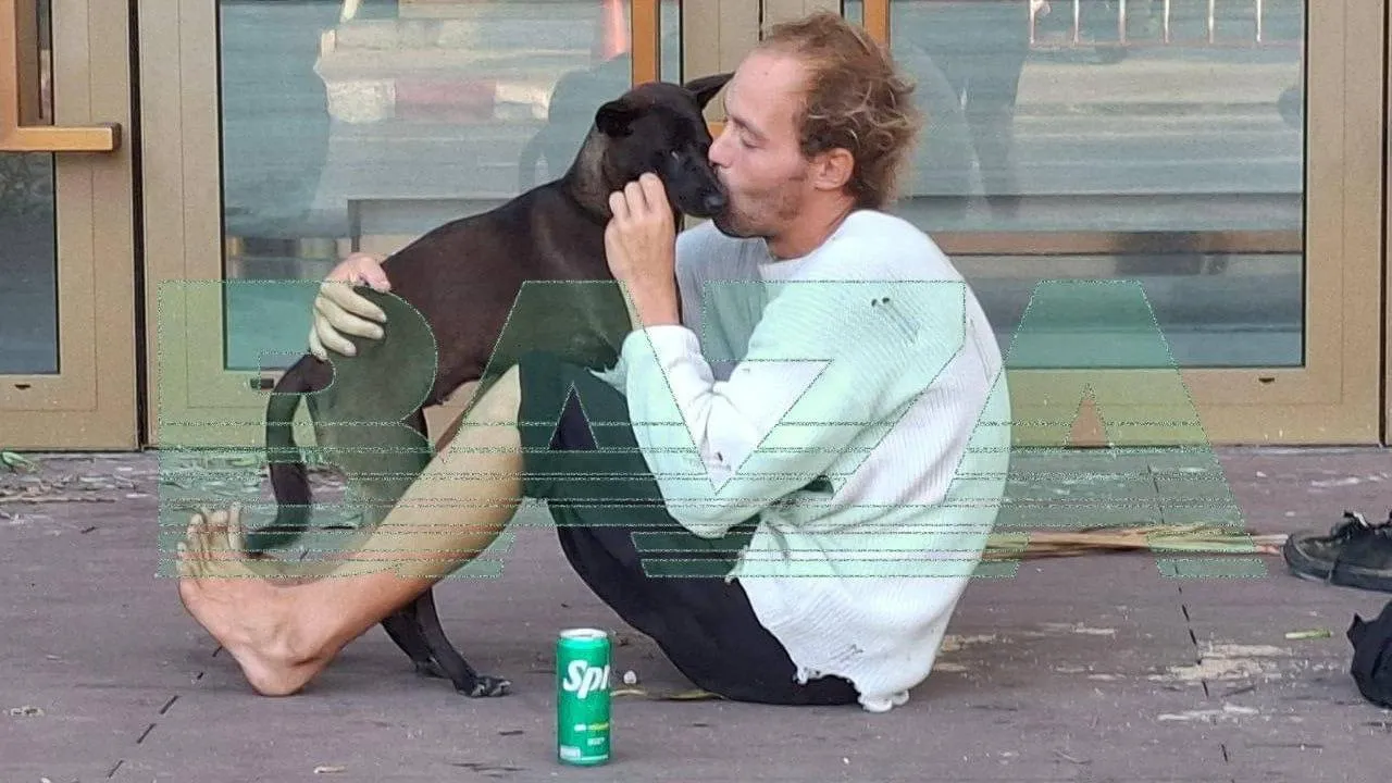 Телеграм-канал Baza