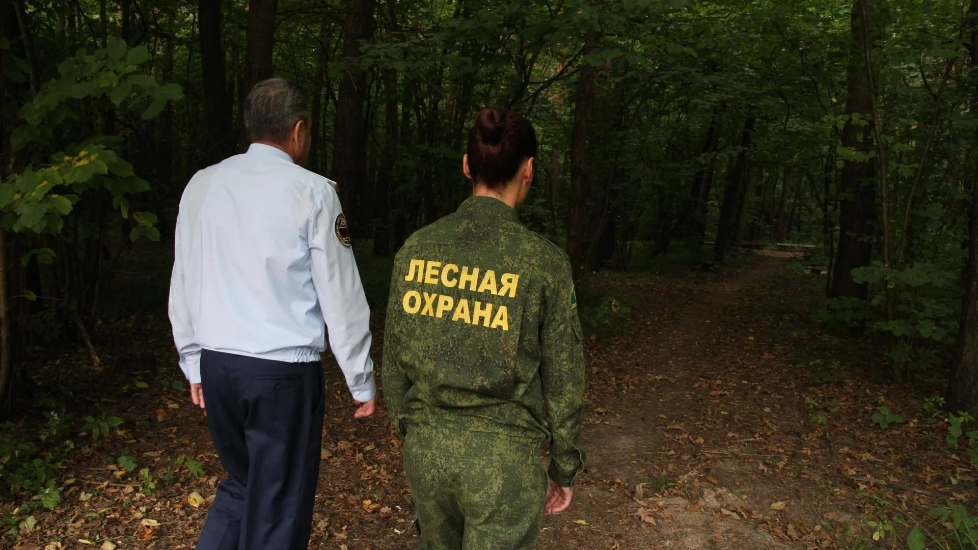 Взаимодействие Системы‑112 и Комлесхоза Подмосковья сократило время реагирования на ЧП