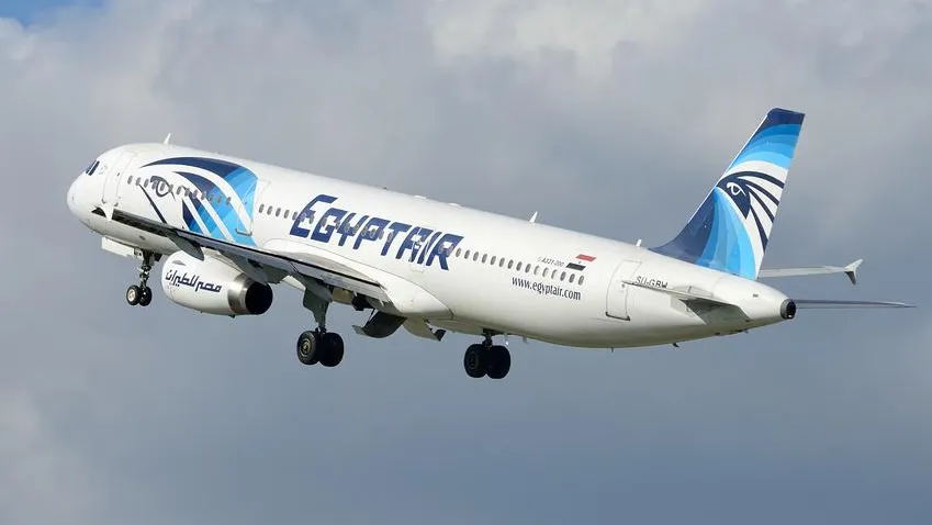 Не могут улететь в Хургаду: 300 пассажиров застряли в Домодедове на 15 часов