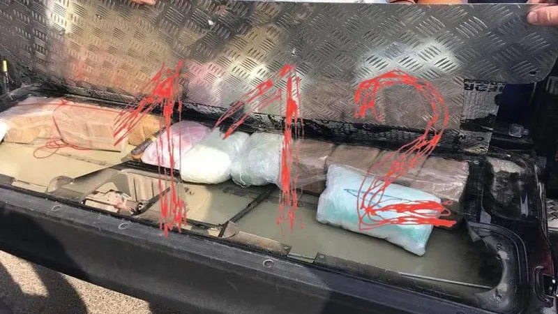 «Гидре» обрубили голову в Подмосковье