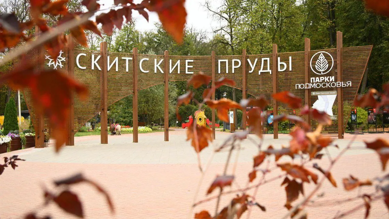 В парке «Скитские пруды» Сергиево-Посадского округа проходят мероприятия для всей семьи