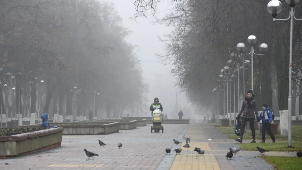 Видимость в Московском регионе в ночь на 12 октября ухудшится до 500 м из‑за тумана