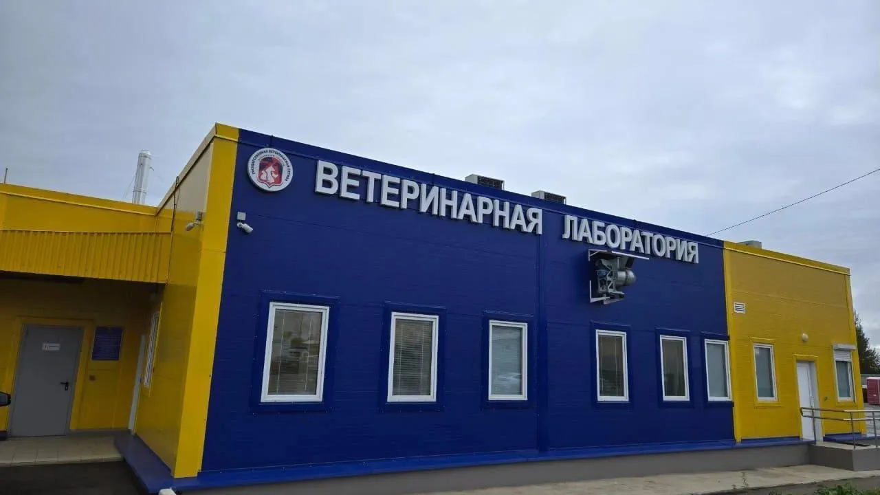 Ветеринарная лаборатория в Дмитровском округе провела свыше 3 тыс исследований