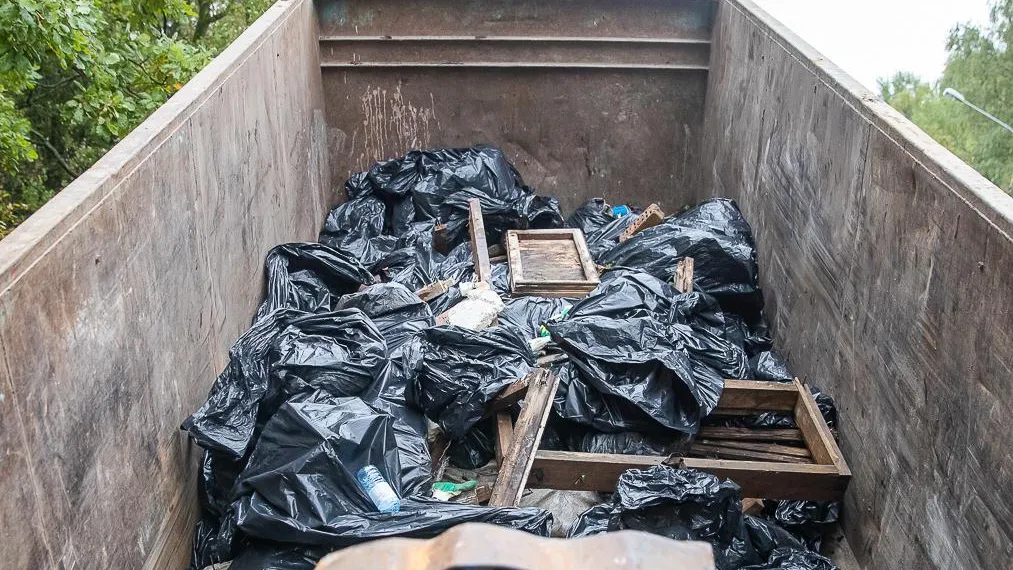 Волонтеры 28 сентября проведут уборку территории Подушкинского леса в Одинцове