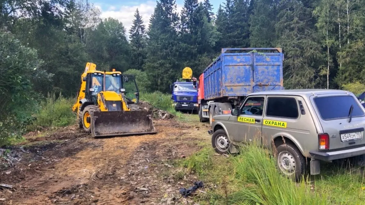 Свыше 15 тыс кубометров мусора убрали в лесах Подмосковья в сентябре