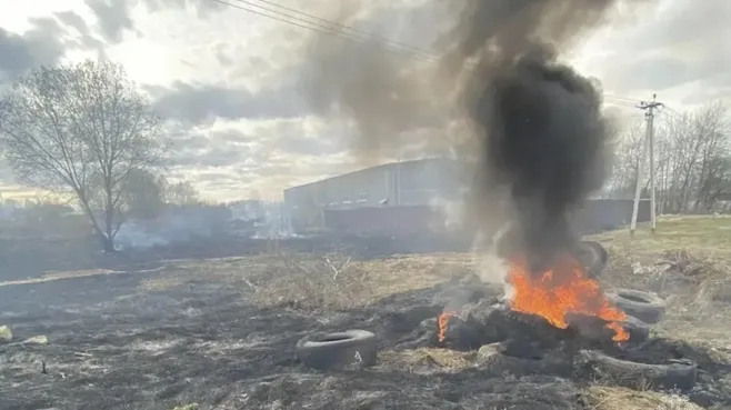 В Подмосковье за неделю не зафиксировали палы сухой травы